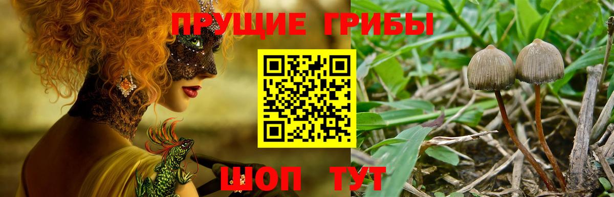 Галлюциногенные грибы Magic Shrooms  Вход с VPN  Сибай 